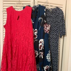 3 Dress Bundle - Petite 16 (Dressbarn brands)